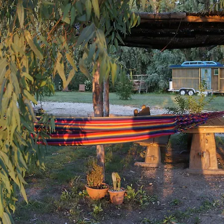 Dane Gokova Hotel Akcapinar (Mugla)