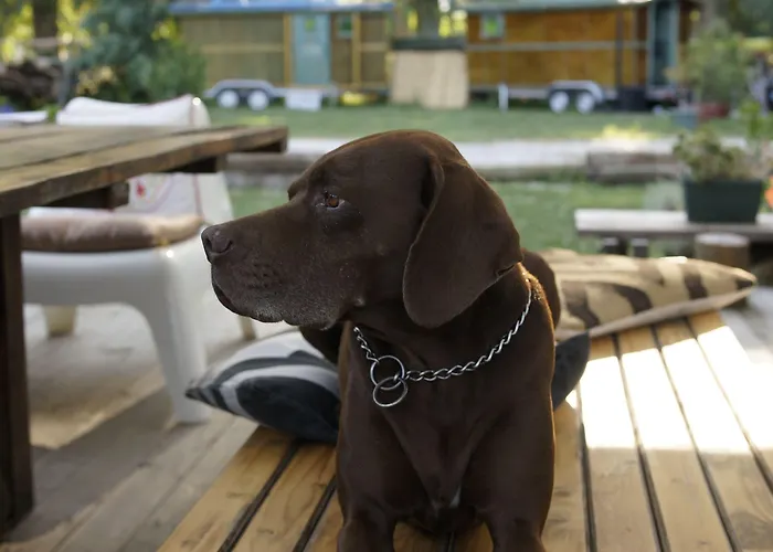 Hotel Dane Gokova 3*